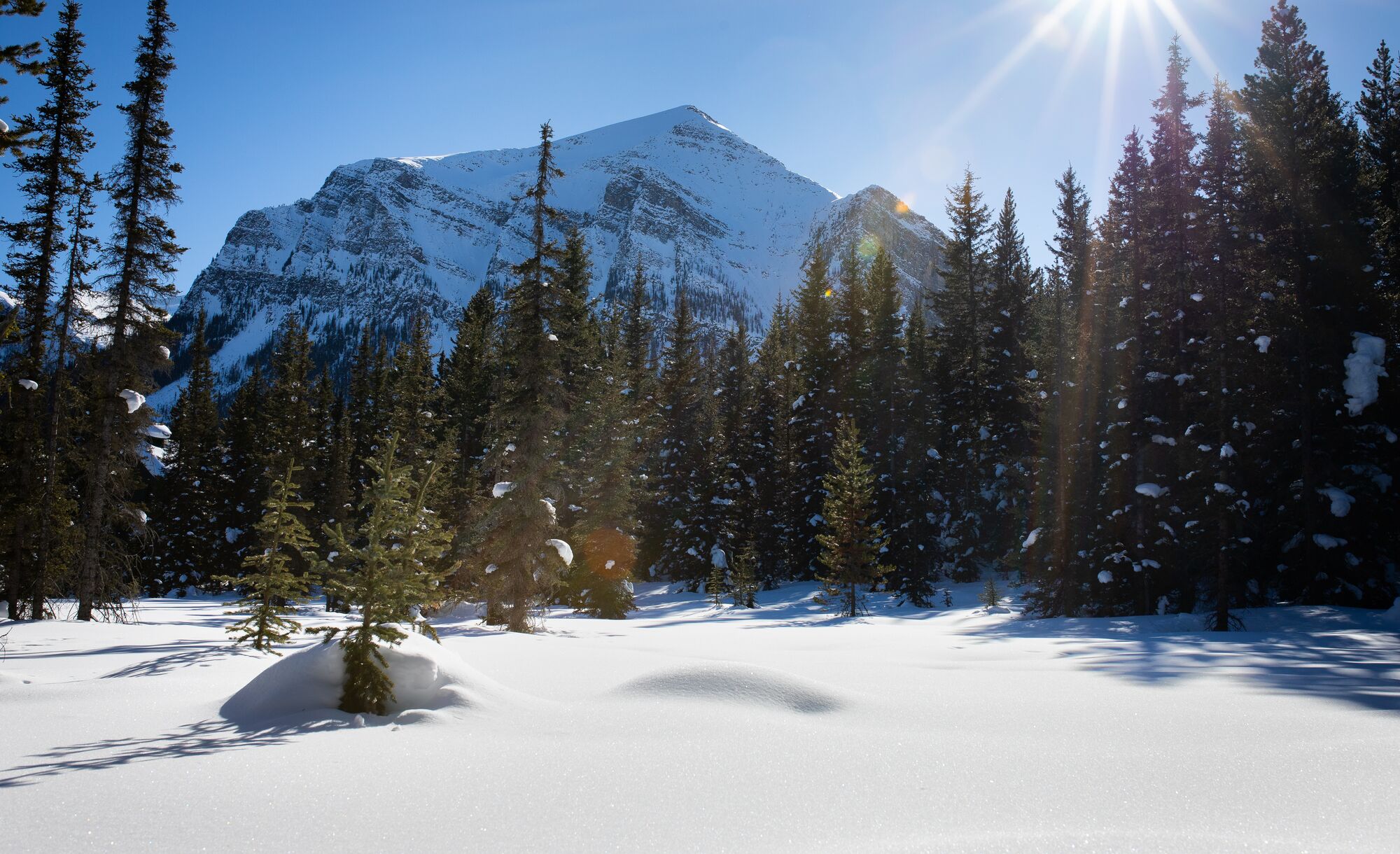 A view of Mount Fairview from the Great Divide Trail in Banff National Park.